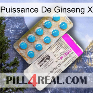 Ginseng Power X new07